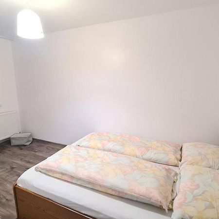 Apartament In Inima Dornei Vatra Dornei Bagian luar foto