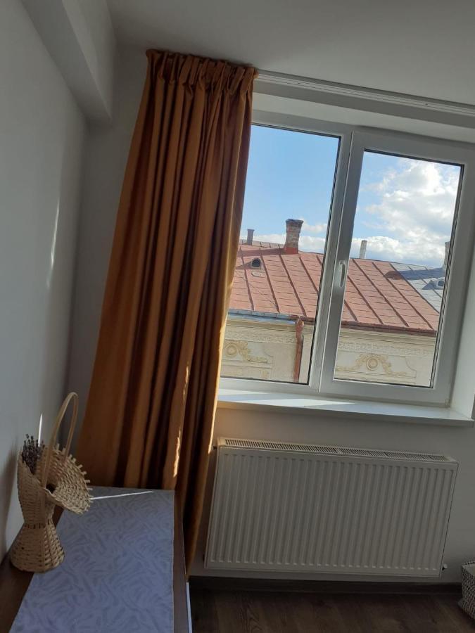 Apartament In Inima Dornei Vatra Dornei Bagian luar foto
